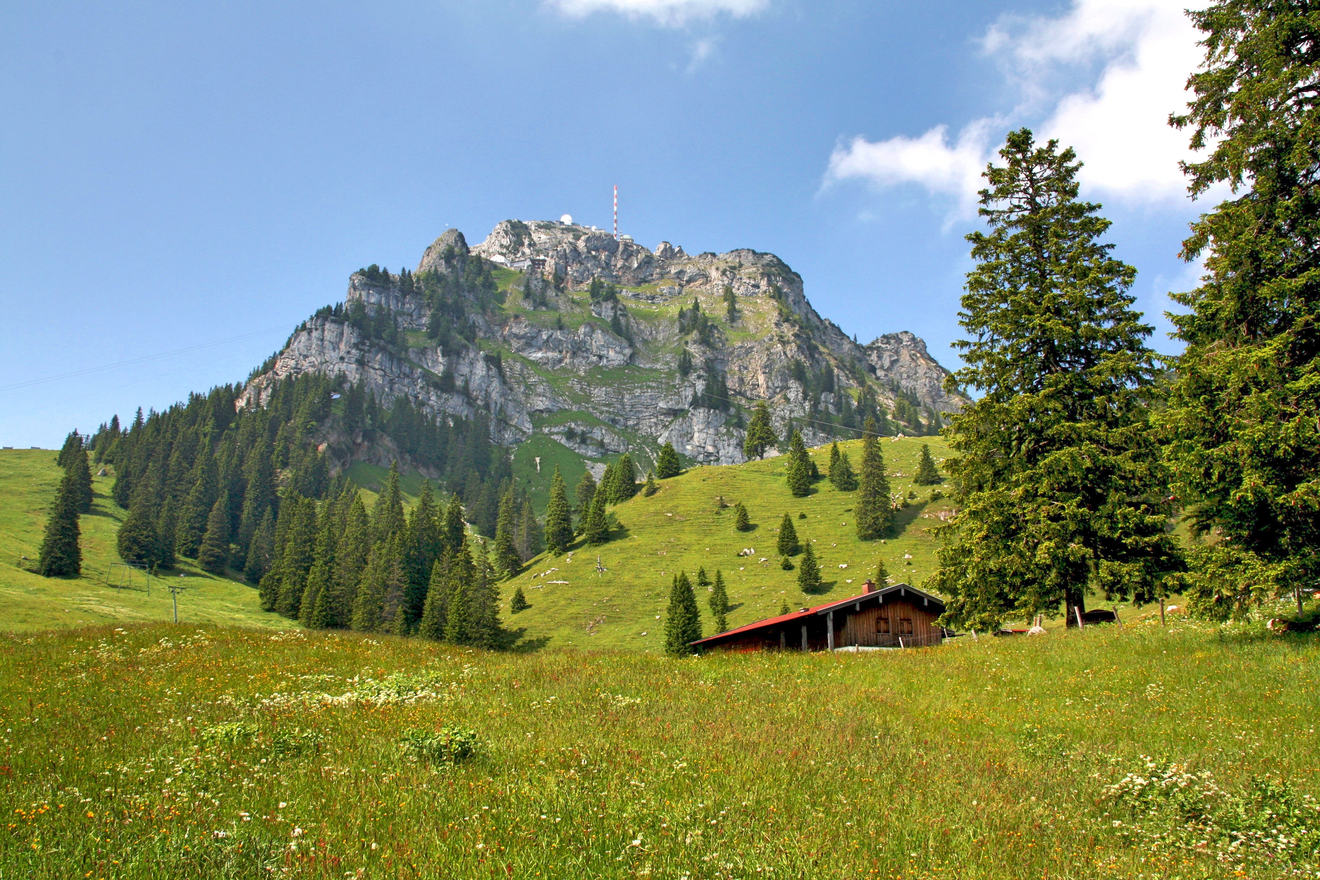 Mobile image