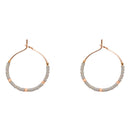 Little Treasure - OHRRING - 6 verschiedene Farben