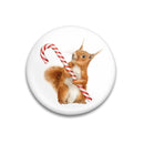 MALUU Magnet Candy Squirrel