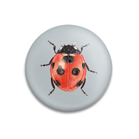 MALUU Magnet Lucky Bug