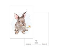 MALUU Postkarte Daisy Bunny