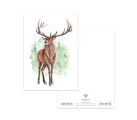 MALUU Postkarte Forrest Deer