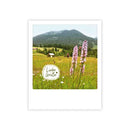 Photo-Postkarte "alpenwiese"