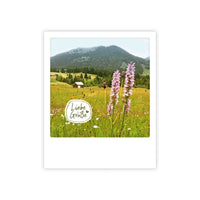 Photo-Postkarte "alpenwiese"