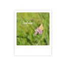 Photo-Postkarte "dankschee schmetterling"