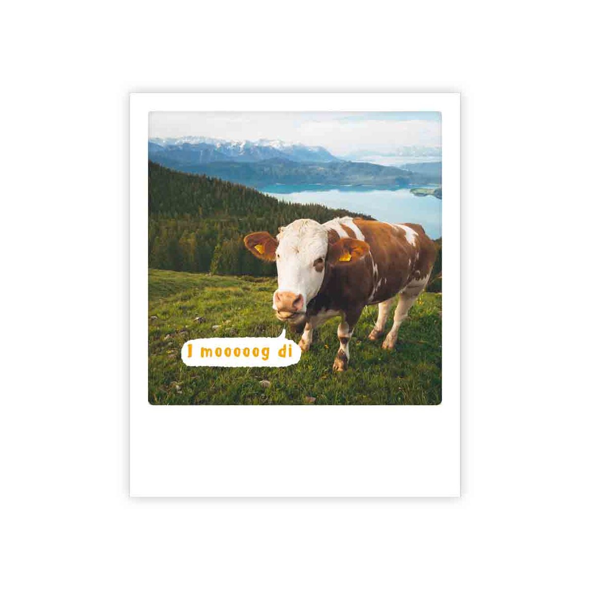 Photo-Postkarte "i mooooog di"