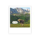 Photo-Postkarte "keep kuhl berge"