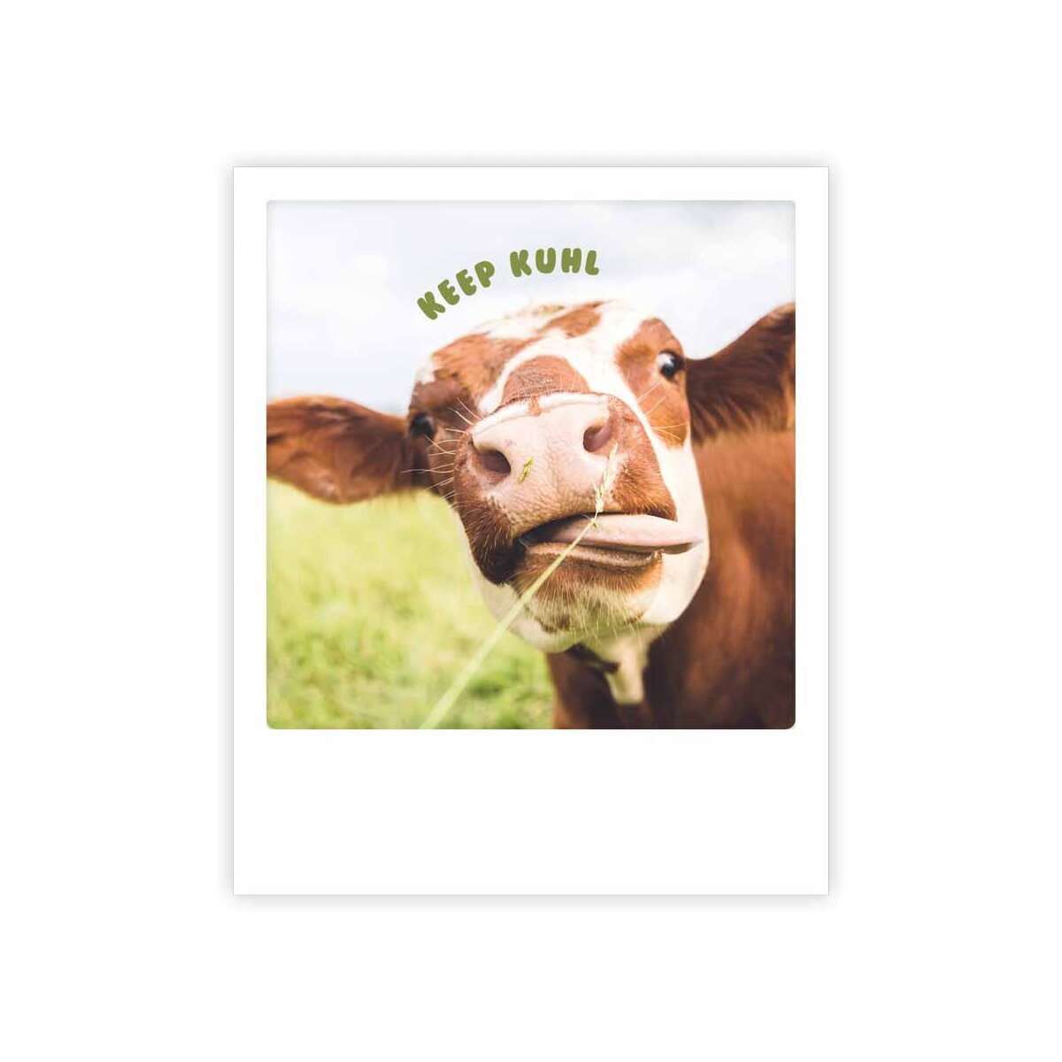 Photo-Postkarte "keep kuhl"