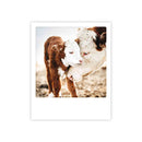 Photo-Postkarte "mutterliebe kuh"