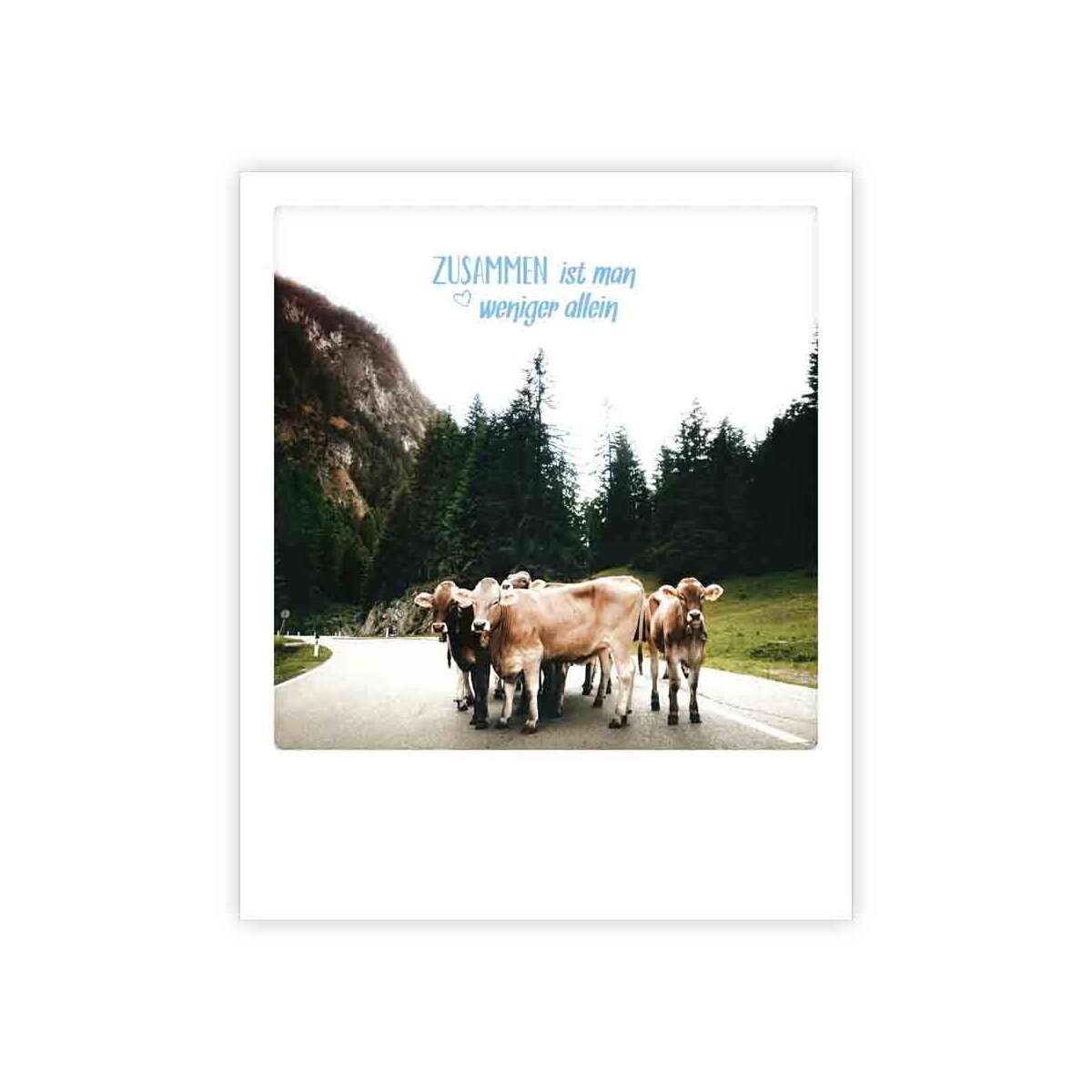 Photo-Postkarte "zusammen ist man weniger allein"