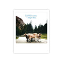 Photo-Postkarte "zusammen ist man weniger allein"